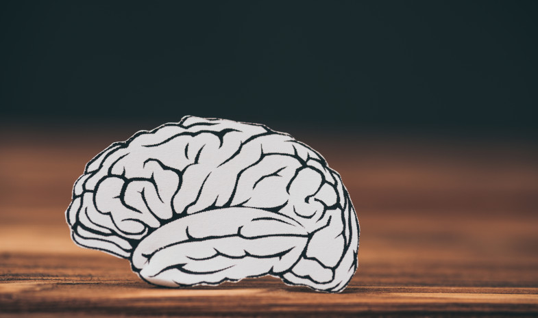 Aula Virtual. Envejecimiento del cerebro. Entre lo normal y lo patológico