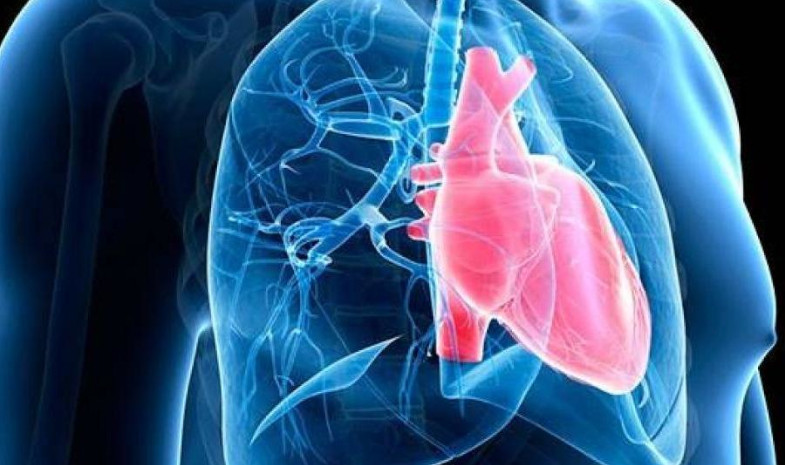 5 de mayo. Día mundial de la Hipertensión Pulmonar